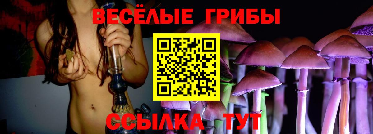 Галлюциногенные грибы GOLDEN TEACHER Белореченск